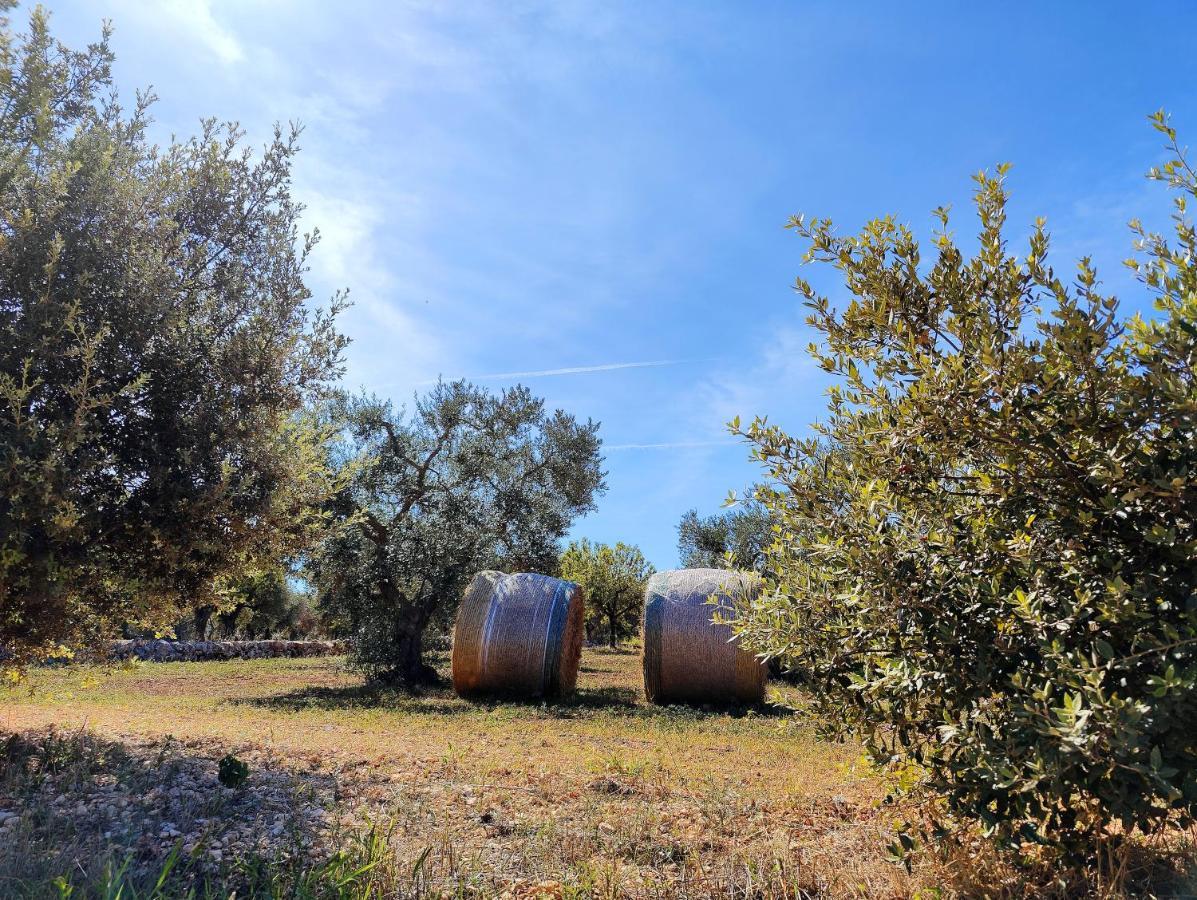 Come Una Volta - Il Trullo Alberobello Kültér fotó